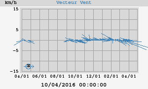 Wind Vector